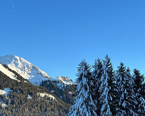 Kaiserwetter am Fuchshof-Wochenende